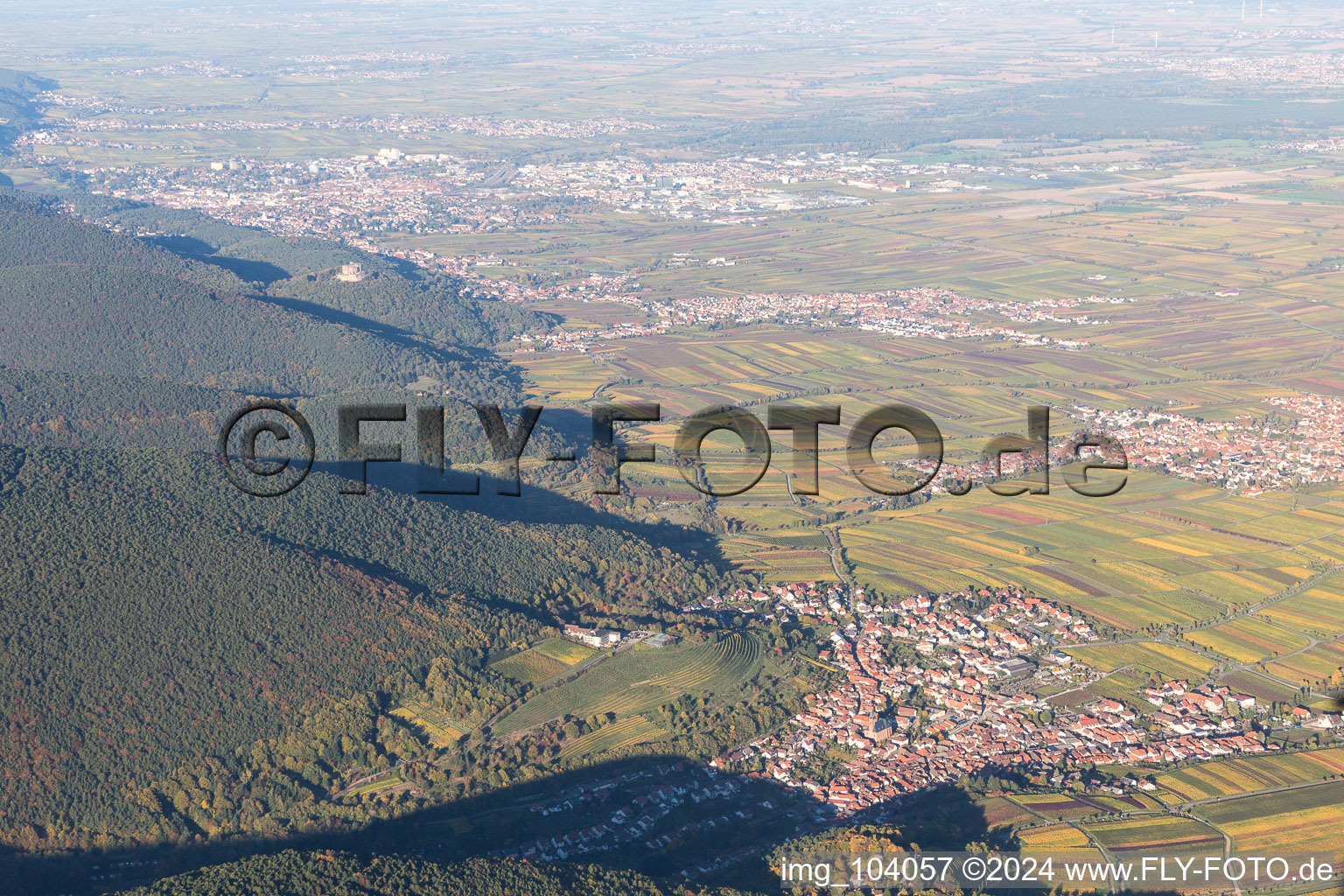 Aerial photograpy of St. Martin in Sankt Martin in the state Rhineland-Palatinate, Germany