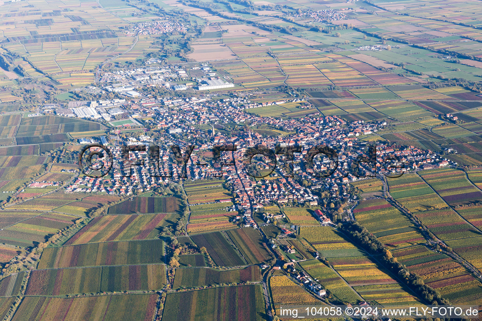 Sankt Martin in the state Rhineland-Palatinate, Germany out of the air