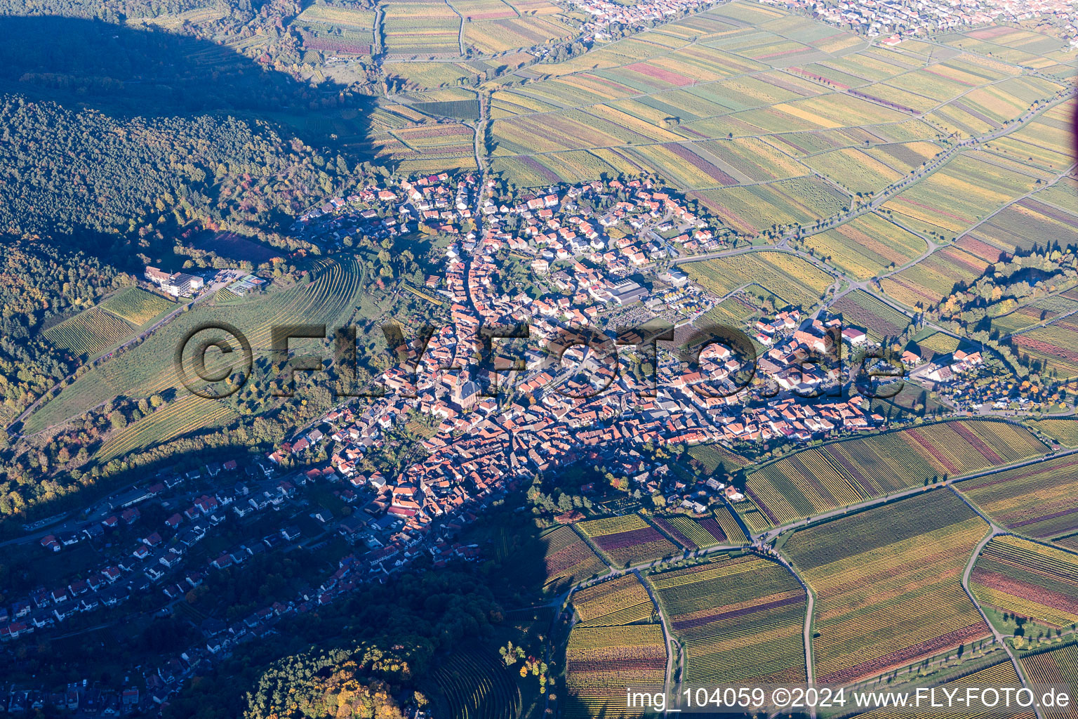 Sankt Martin in the state Rhineland-Palatinate, Germany seen from above