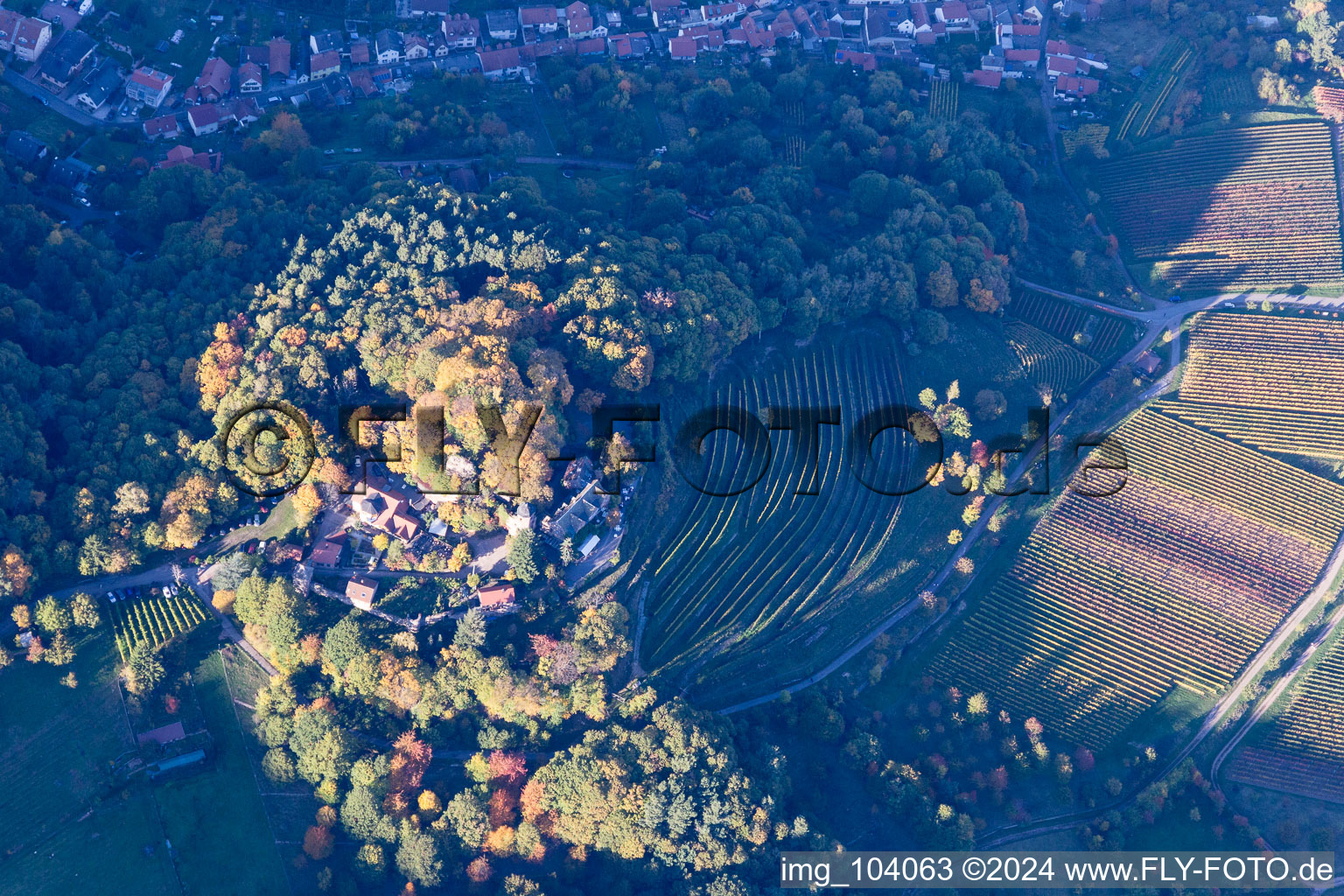 Sankt Martin in the state Rhineland-Palatinate, Germany from the plane