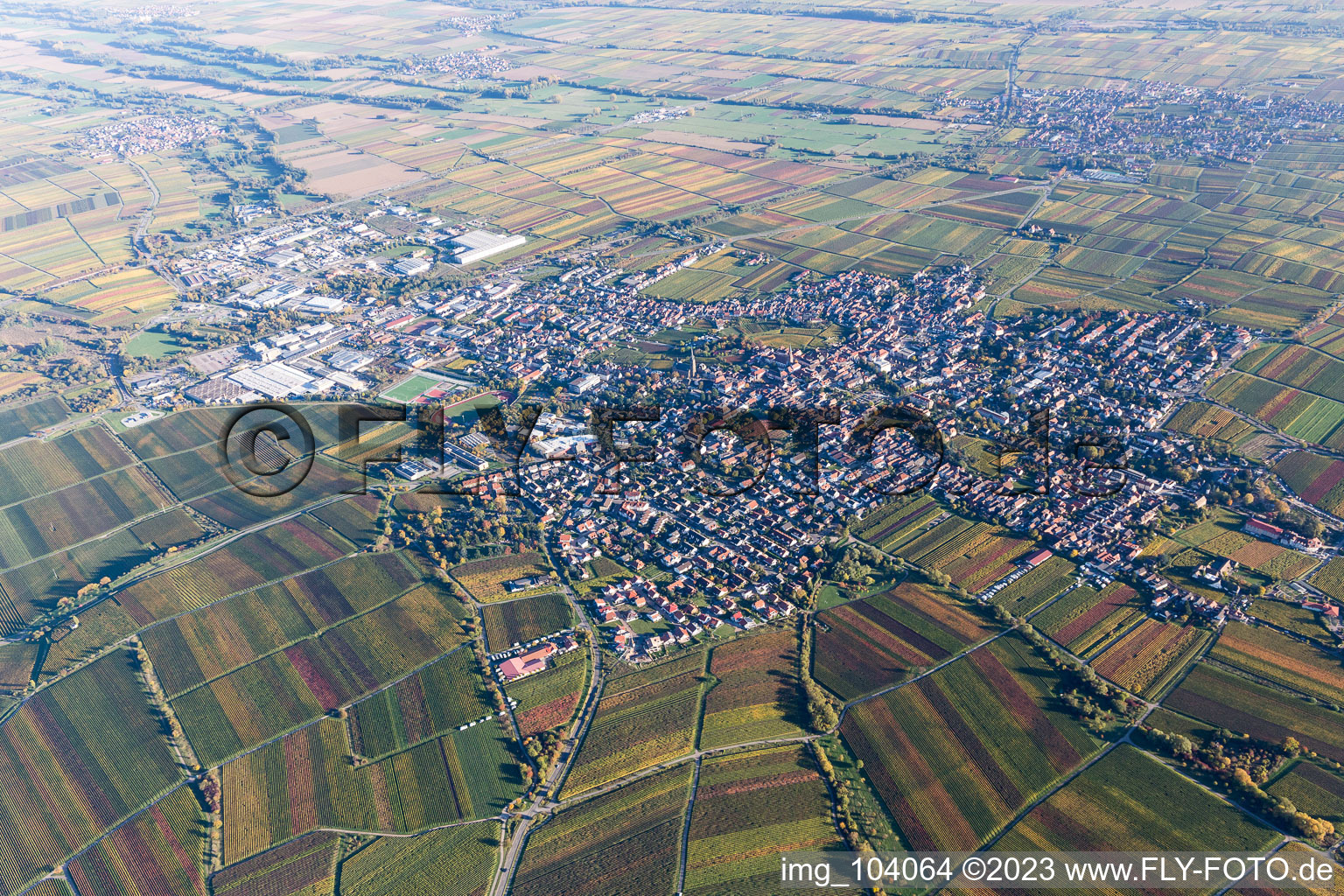 Bird's eye view of Sankt Martin in the state Rhineland-Palatinate, Germany