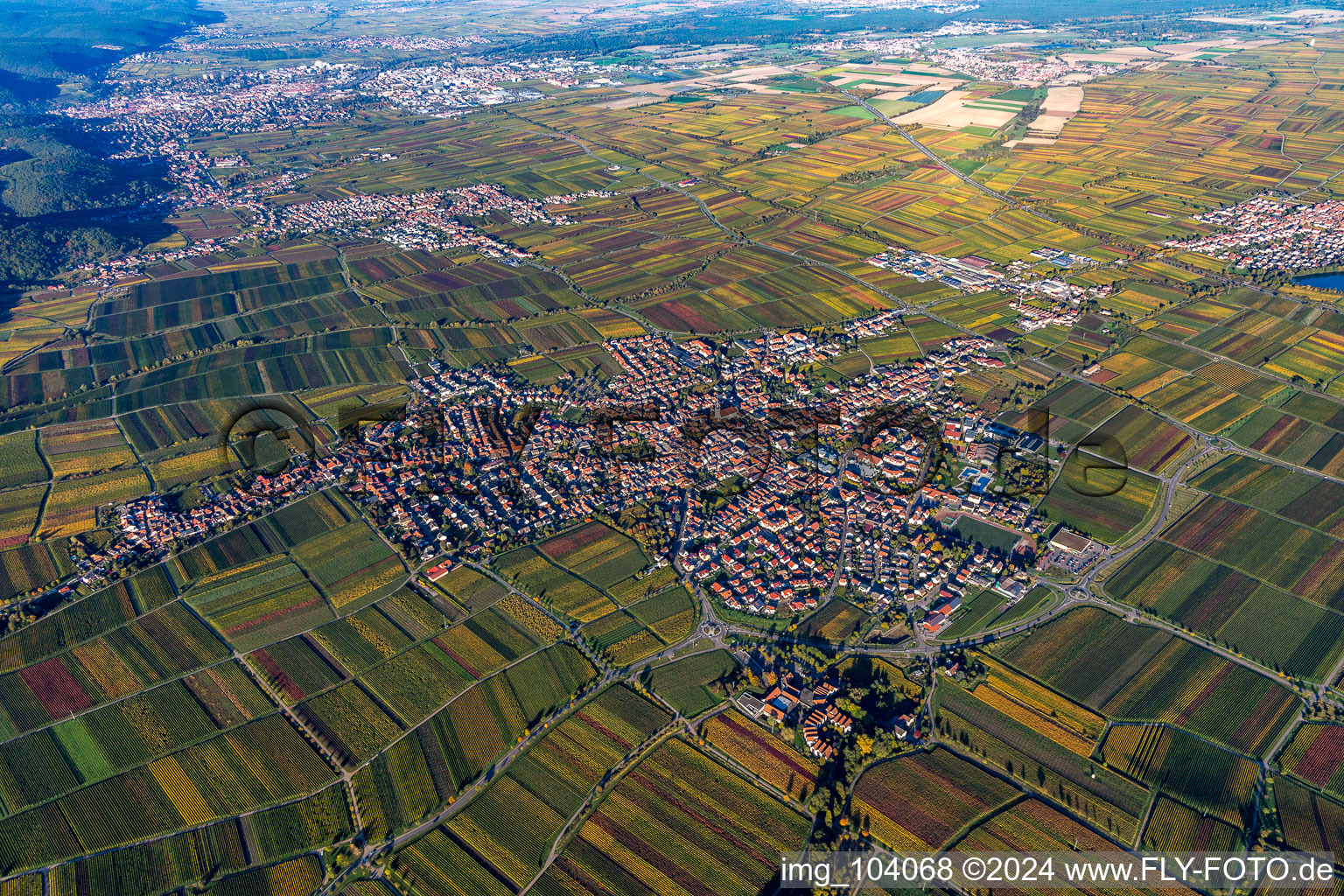 Aerial view of Town View of the streets and houses of the residential areas in Maikammer in the state Rhineland-Palatinate, Germany