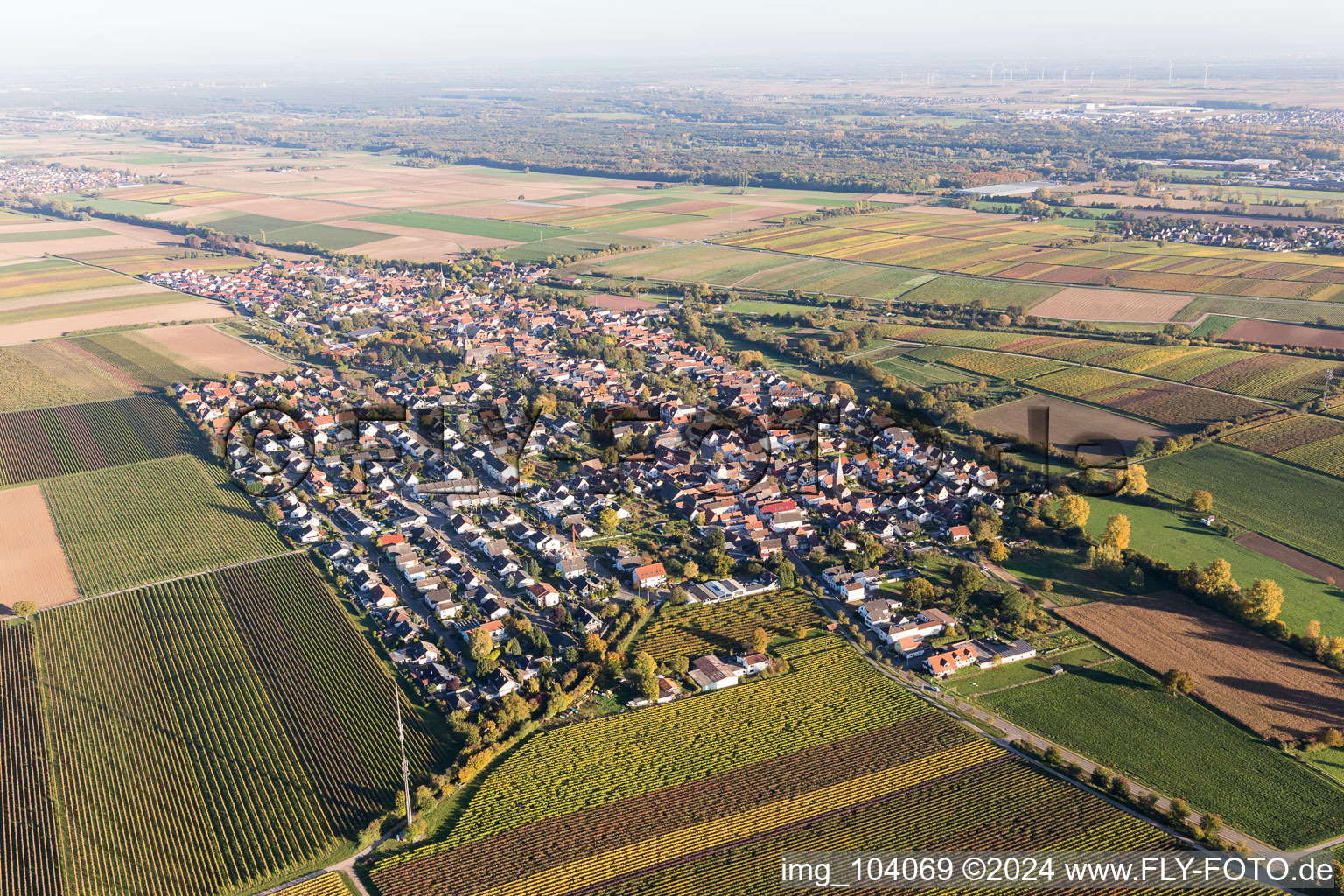 Aerial view of Essingen in the state Rhineland-Palatinate, Germany