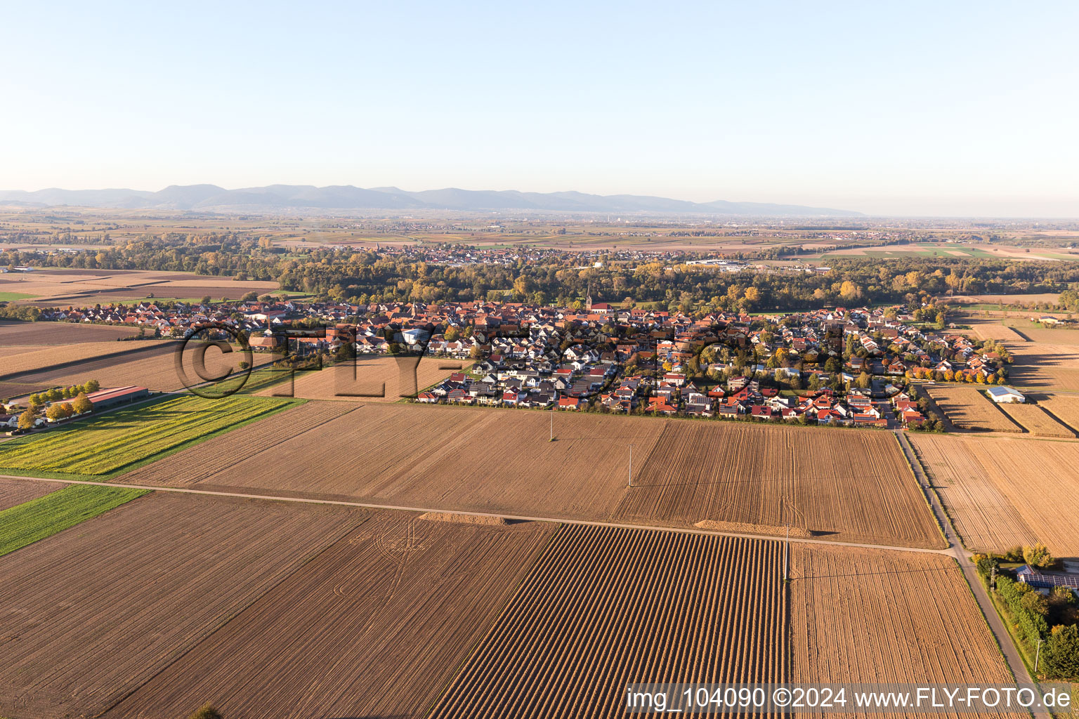 Steinweiler in the state Rhineland-Palatinate, Germany from the drone perspective