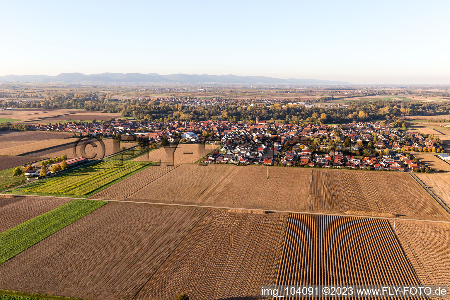 Steinweiler in the state Rhineland-Palatinate, Germany from a drone
