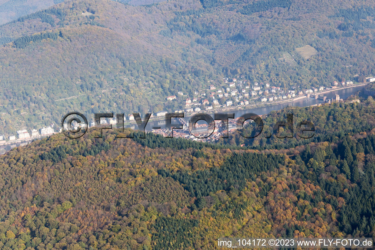 Neckar Valley in the district Kernaltstadt in Heidelberg in the state Baden-Wuerttemberg, Germany