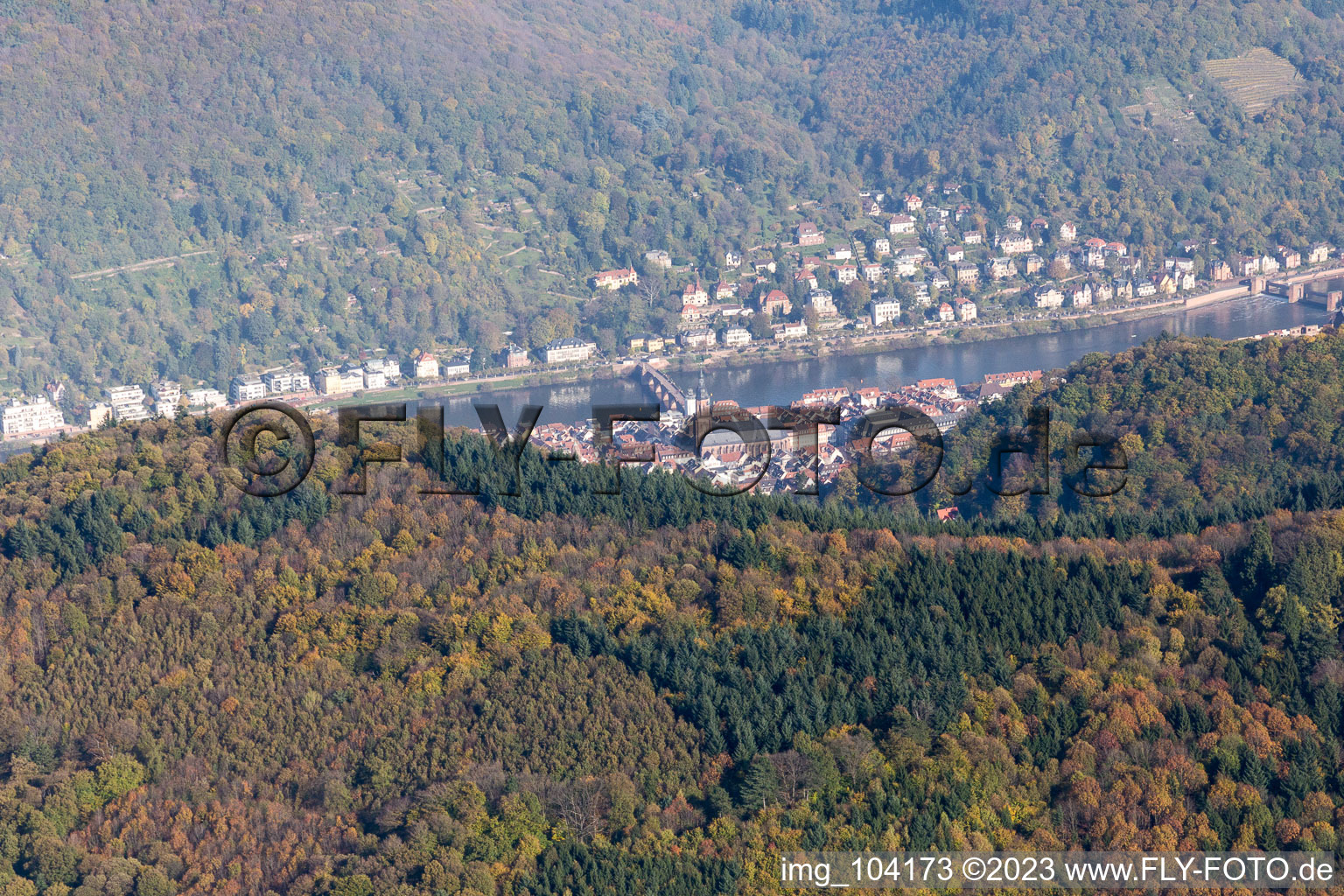 Aerial view of Neckar Valley in the district Kernaltstadt in Heidelberg in the state Baden-Wuerttemberg, Germany