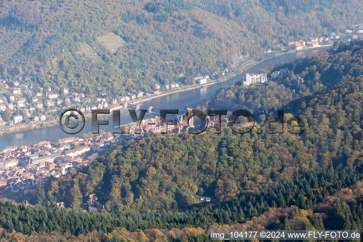 Neckar Valley in the district Kernaltstadt in Heidelberg in the state Baden-Wuerttemberg, Germany