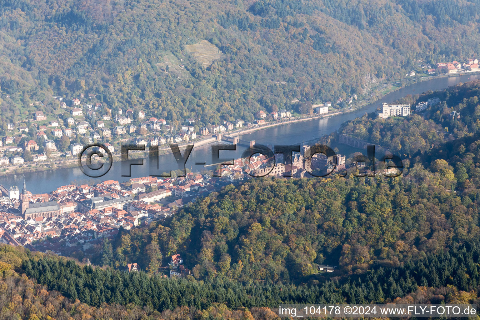 Aerial view of Neckar Valley in the district Kernaltstadt in Heidelberg in the state Baden-Wuerttemberg, Germany