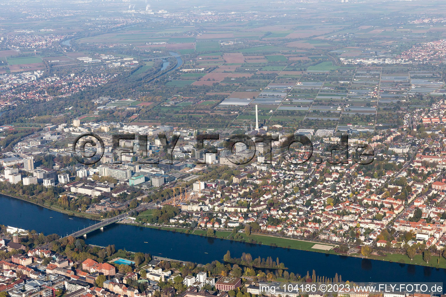 Neueneimer Feld, University in the district Neuenheim in Heidelberg in the state Baden-Wuerttemberg, Germany