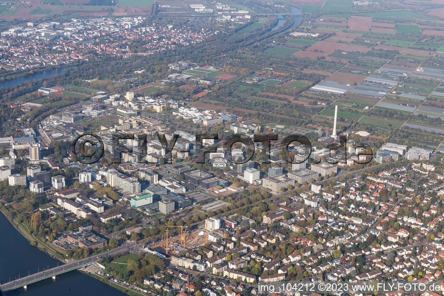 Aerial photograpy of University in the district Neuenheim in Heidelberg in the state Baden-Wuerttemberg, Germany