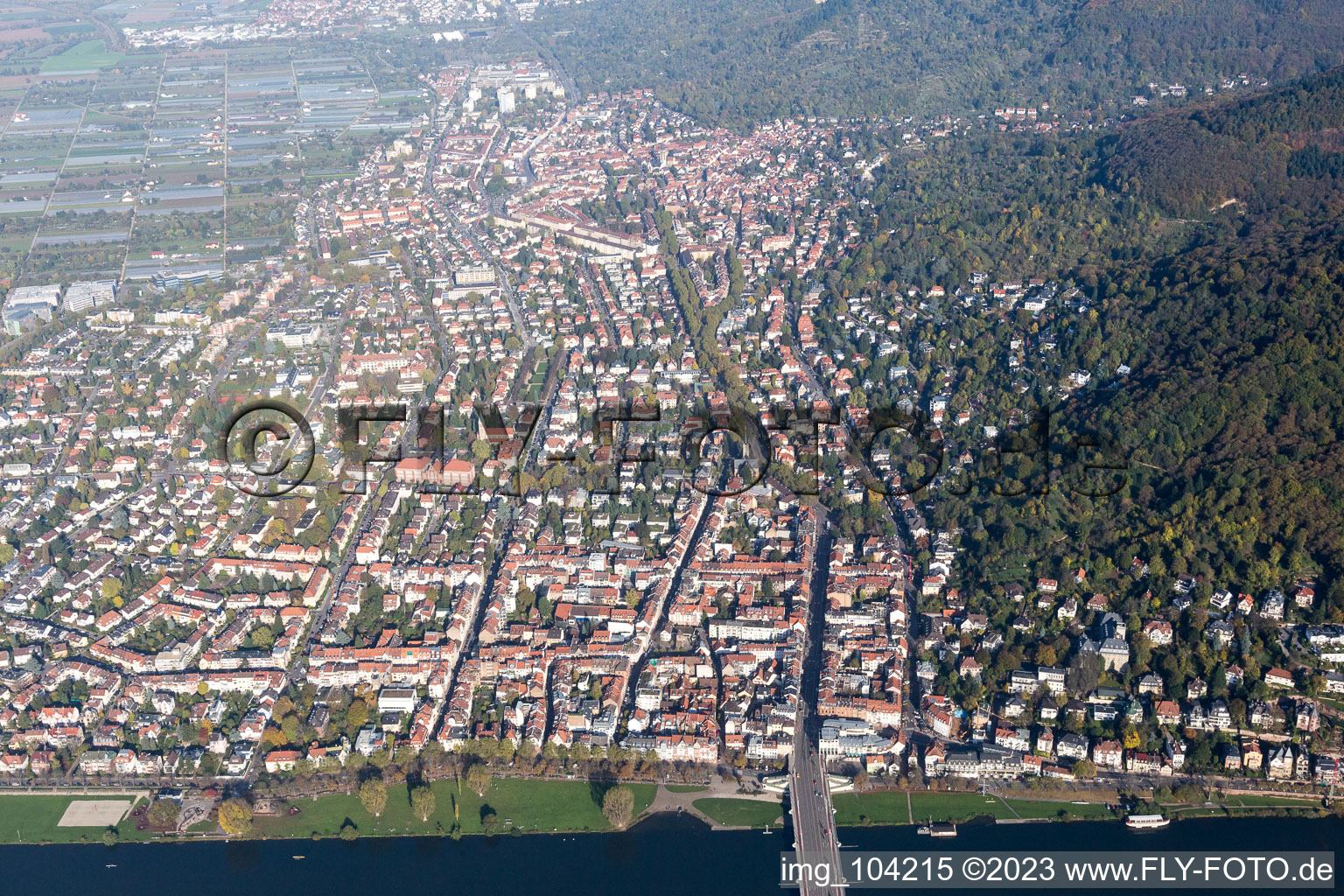 Aerial photograpy of District Neuenheim in Heidelberg in the state Baden-Wuerttemberg, Germany