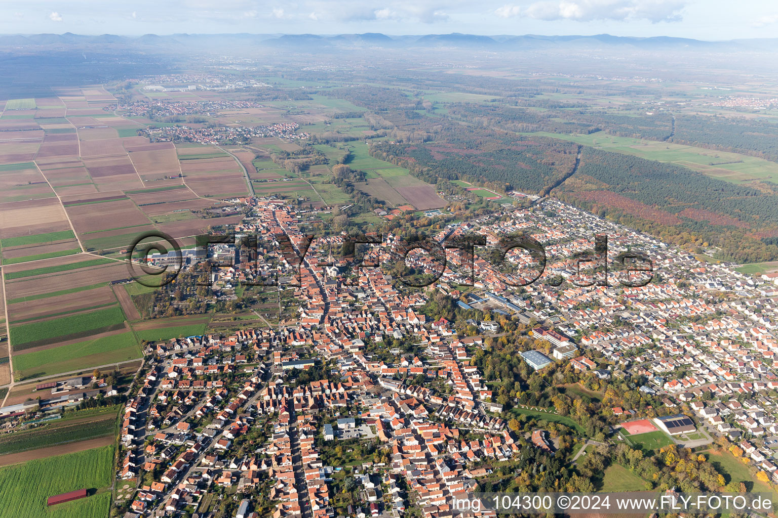 Bellheim in the state Rhineland-Palatinate, Germany out of the air