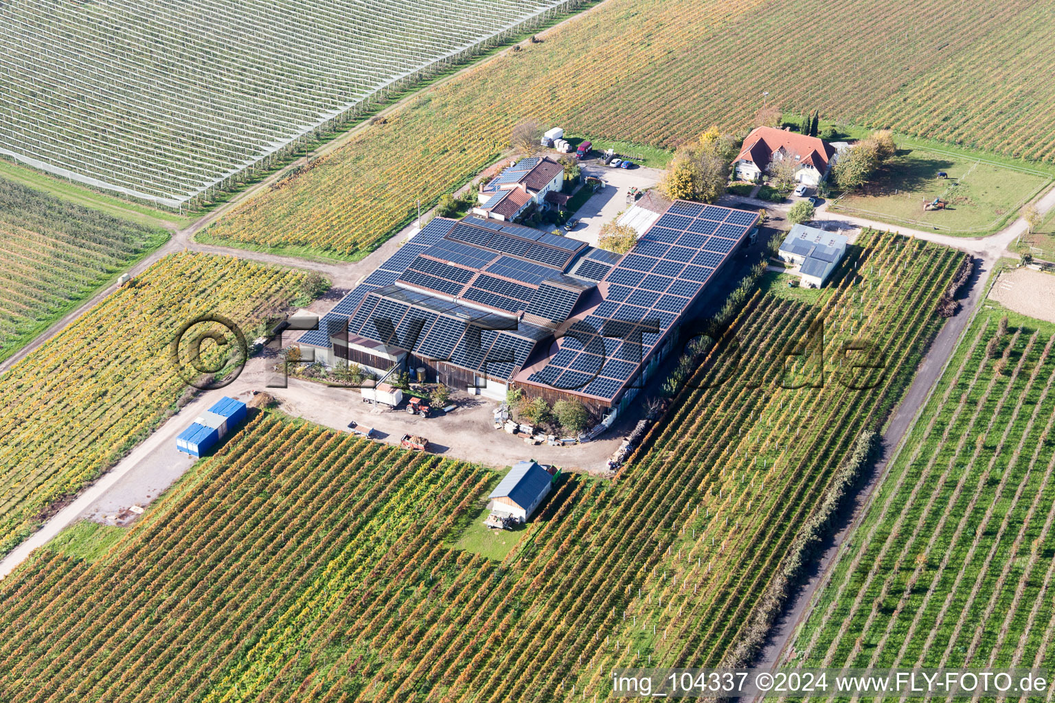 Impflingen in the state Rhineland-Palatinate, Germany from the plane