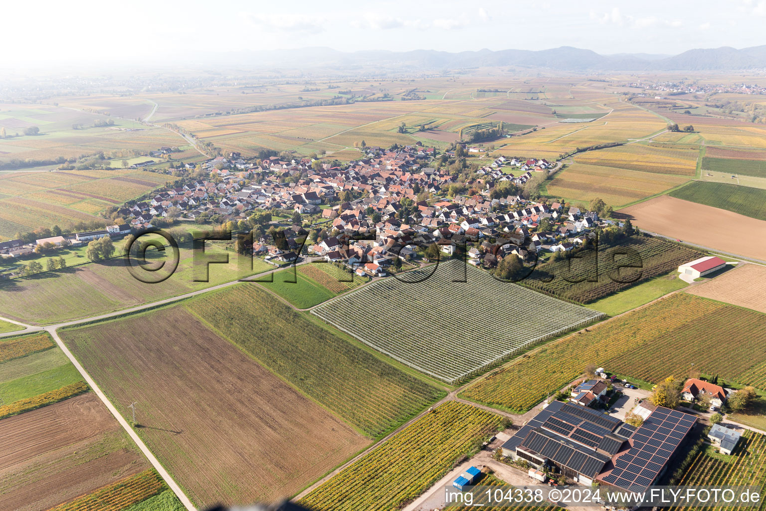 Bird's eye view of Impflingen in the state Rhineland-Palatinate, Germany