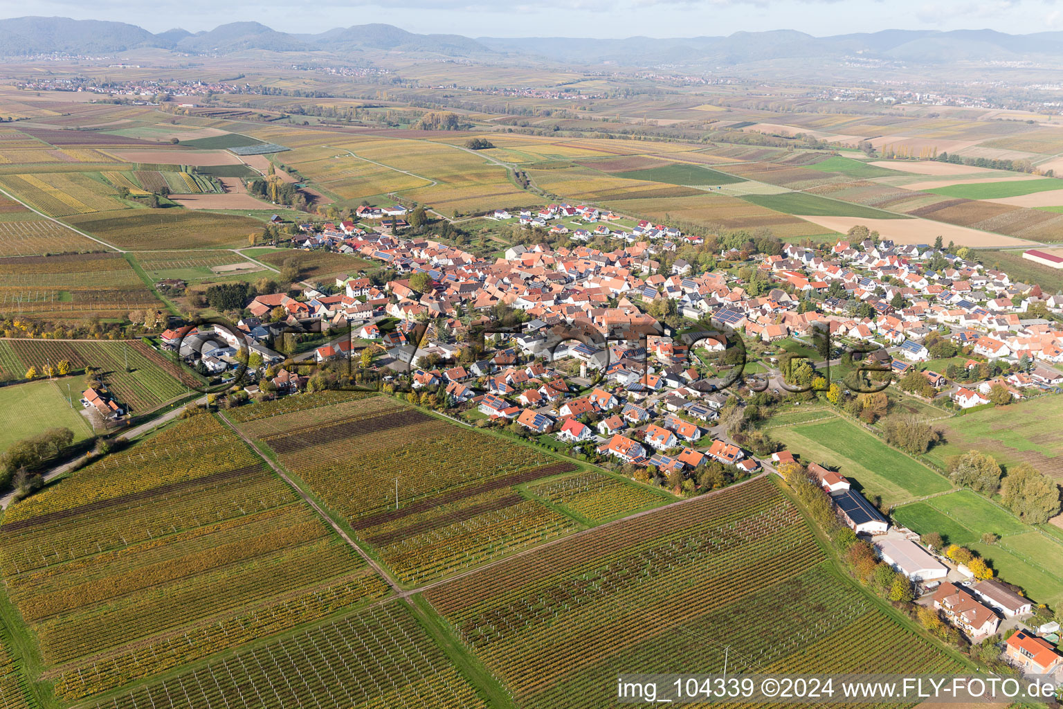 Impflingen in the state Rhineland-Palatinate, Germany viewn from the air