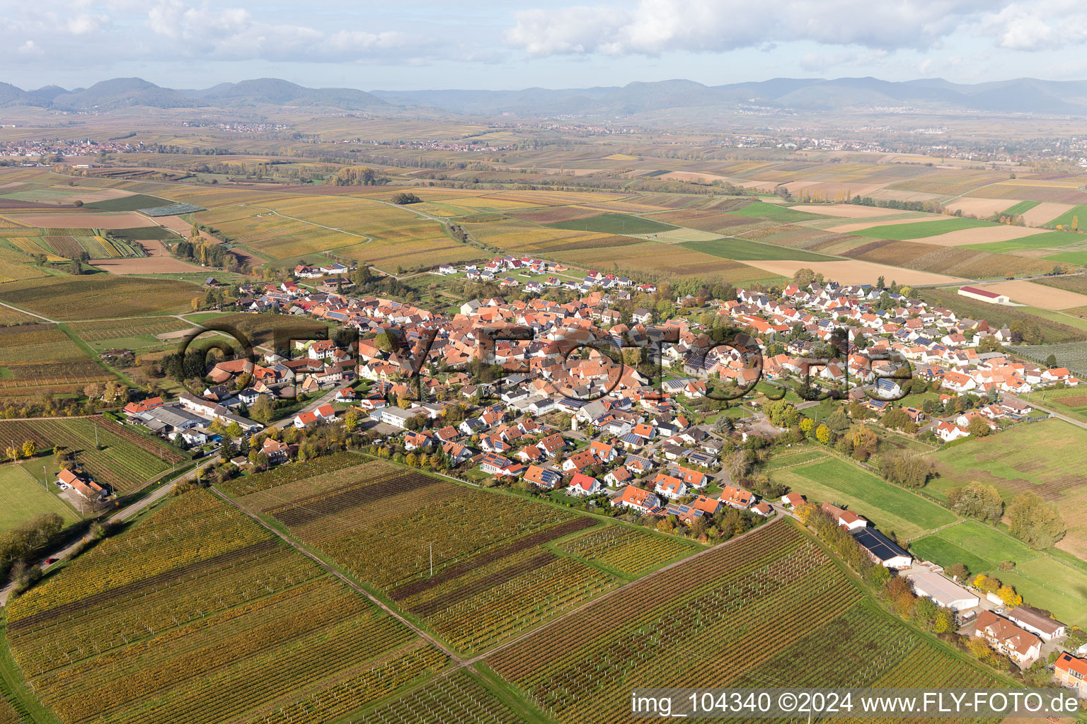 Drone recording of Impflingen in the state Rhineland-Palatinate, Germany