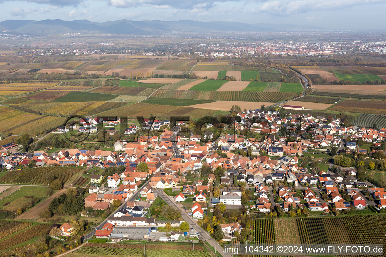 Impflingen in the state Rhineland-Palatinate, Germany from the drone perspective