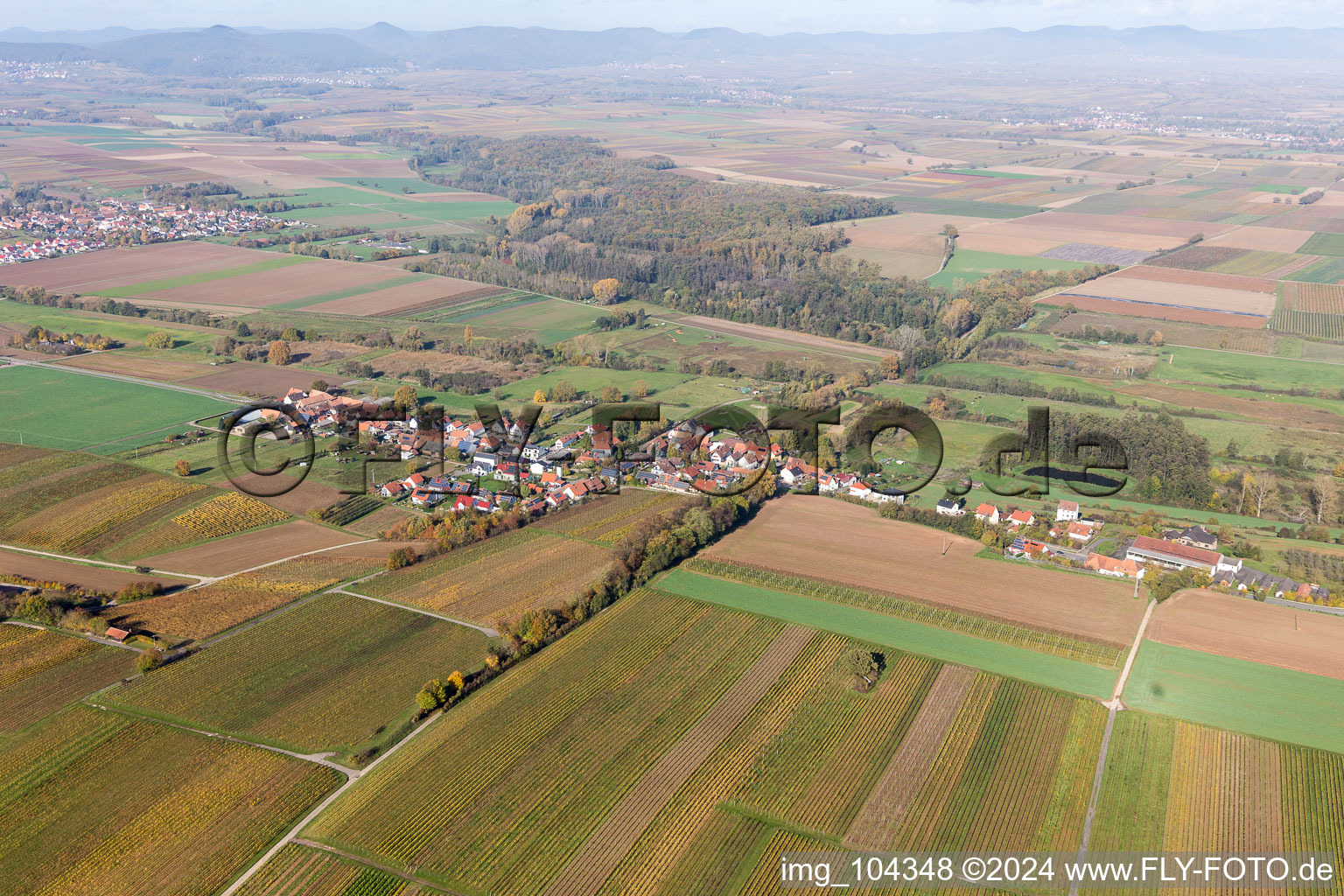 Hergersweiler in the state Rhineland-Palatinate, Germany from above