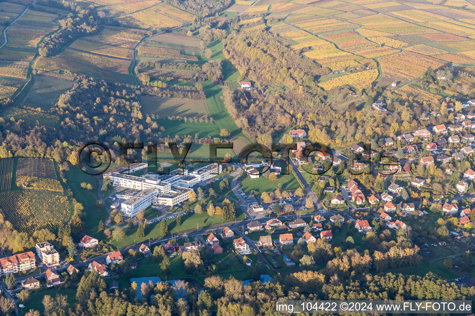 Wissembourg in the state Bas-Rhin, France from a drone