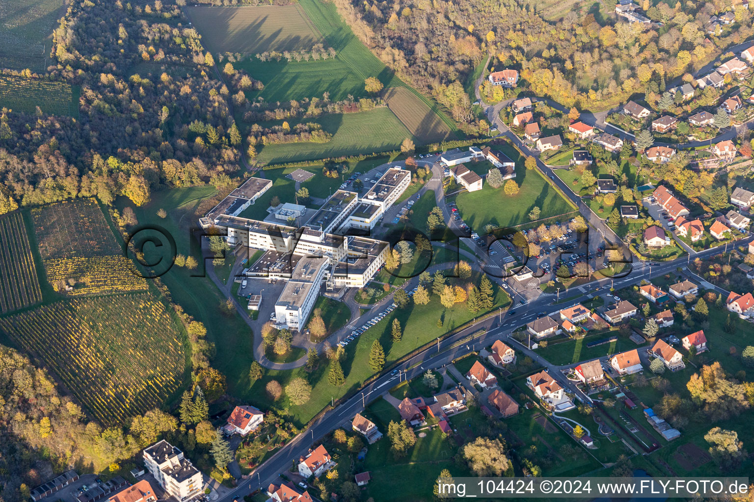 Aerial photograpy of Hospital grounds of the Clinic Centre Hospitalier de la Lauter in Wissembourg in Grand Est, France