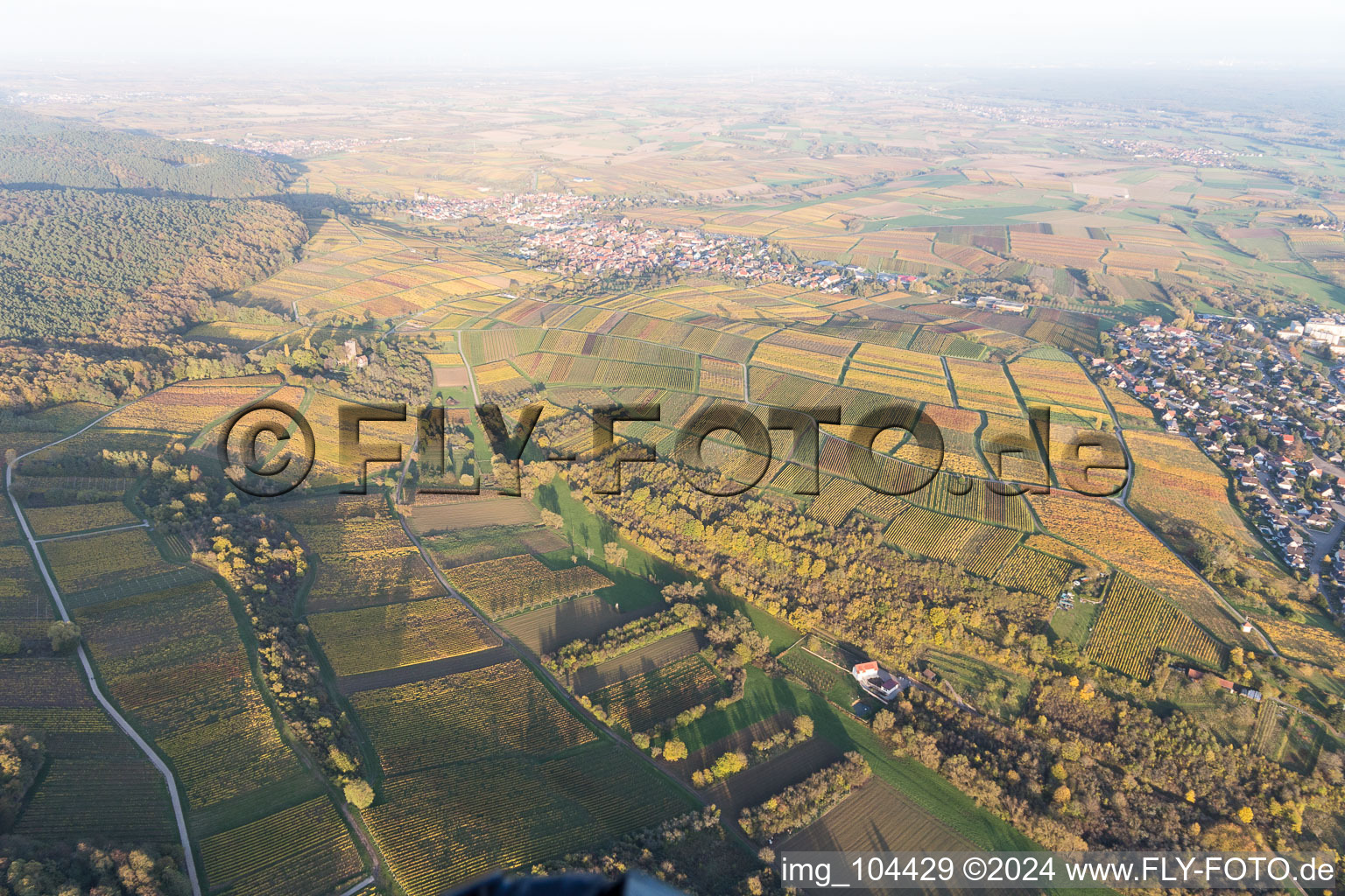 Sonnenberg in the district Schweigen in Schweigen-Rechtenbach in the state Rhineland-Palatinate, Germany from above