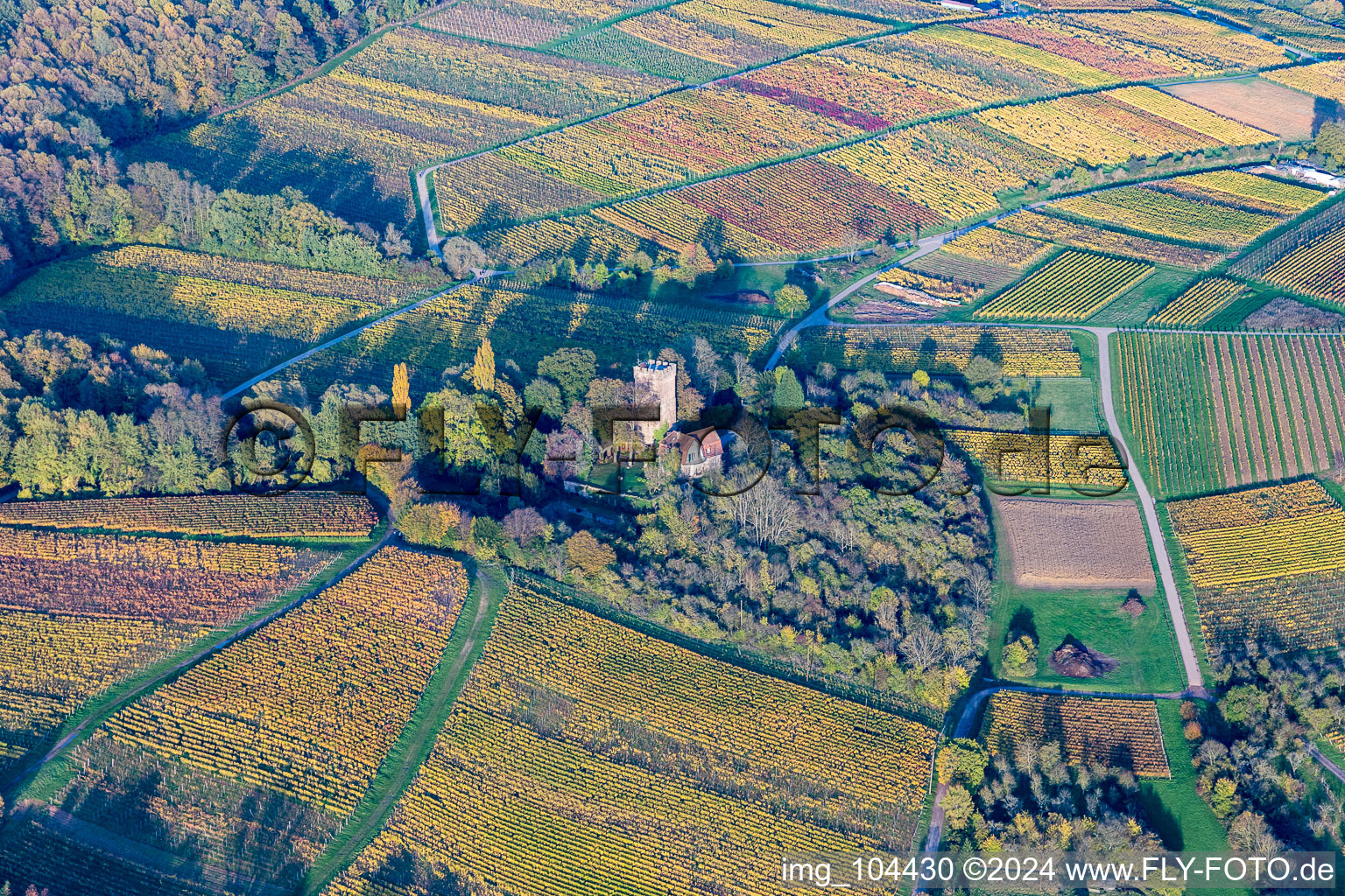 Buildings and parks at the mansion of the farmhouse in Wissembourg in Grand Est, France