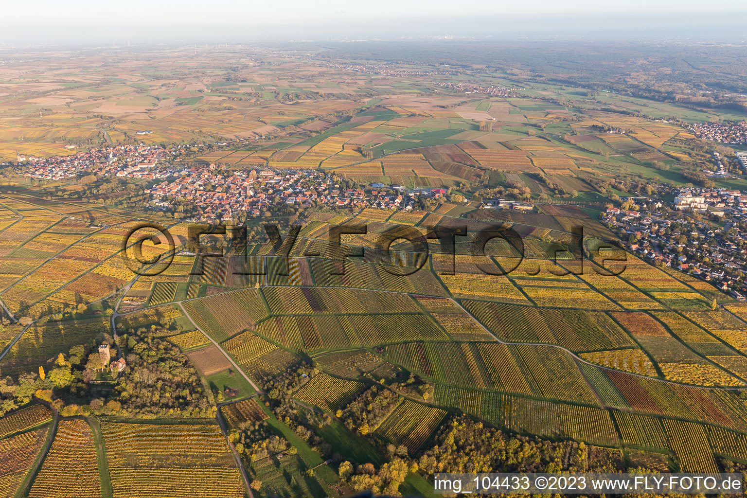 Village - view on the edge of wine yards in Schweigen in the state Rhineland-Palatinate, Germany
