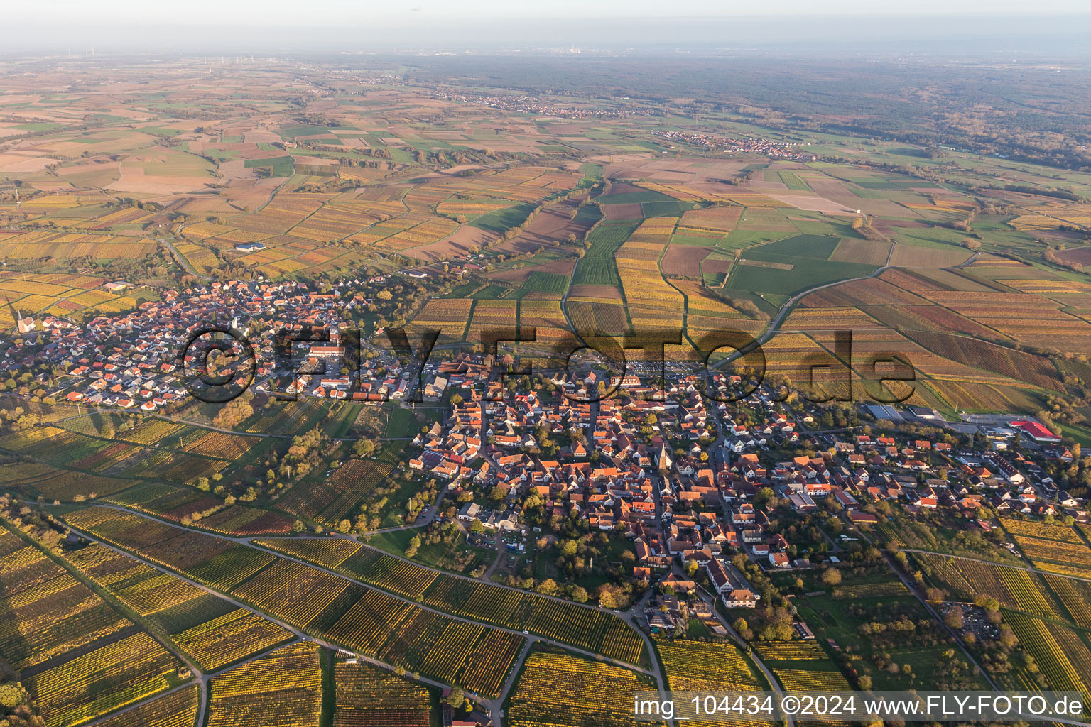 District Schweigen in Schweigen-Rechtenbach in the state Rhineland-Palatinate, Germany out of the air