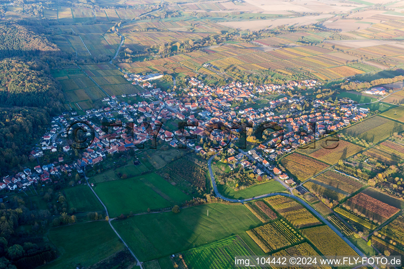 Oberotterbach in the state Rhineland-Palatinate, Germany from the plane