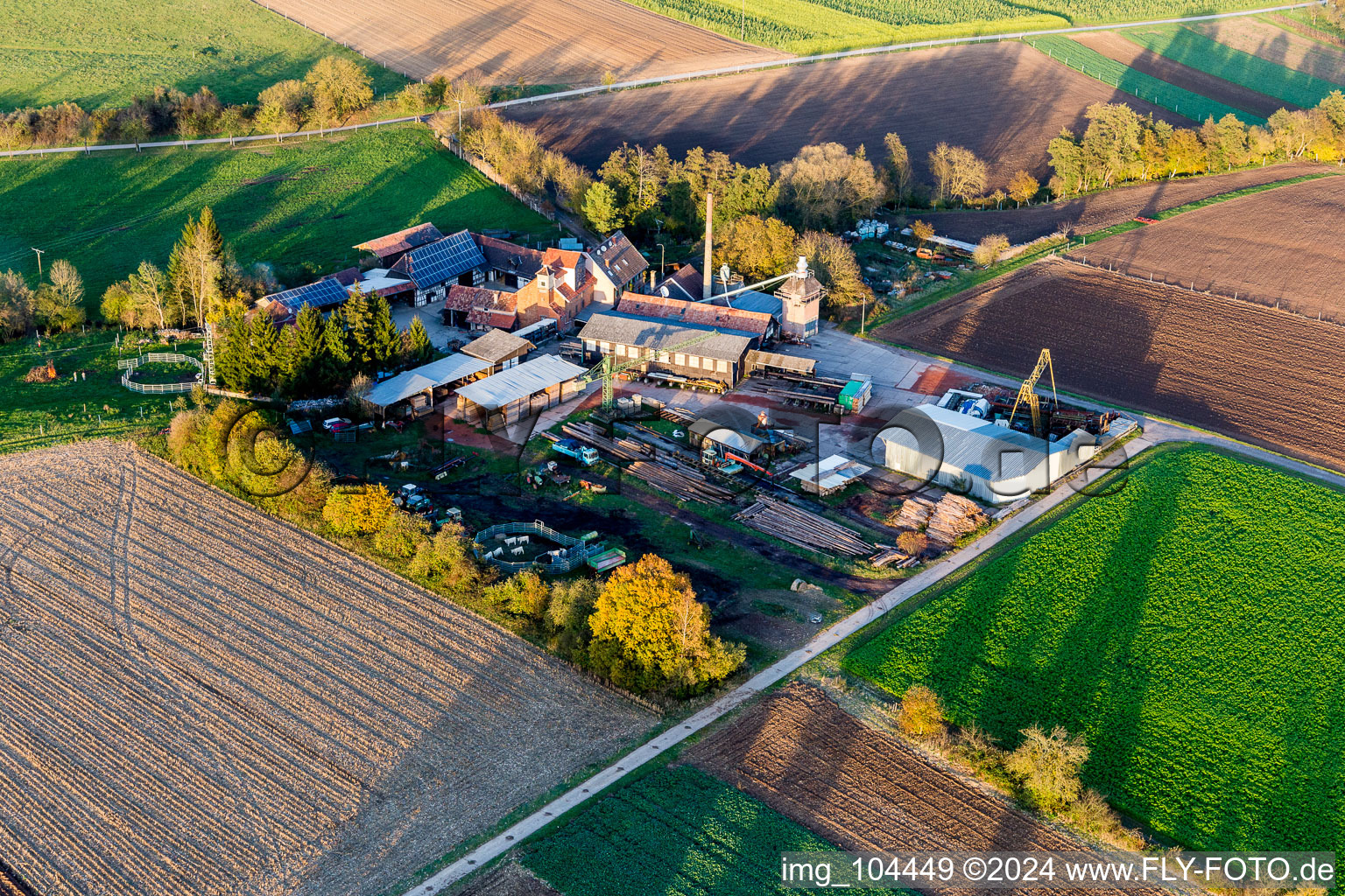 Drone recording of District Schaidt in Wörth am Rhein in the state Rhineland-Palatinate, Germany