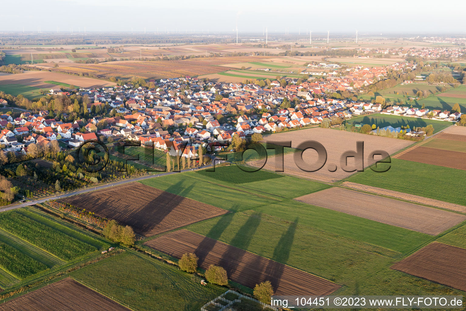 Bird's eye view of Freckenfeld in the state Rhineland-Palatinate, Germany