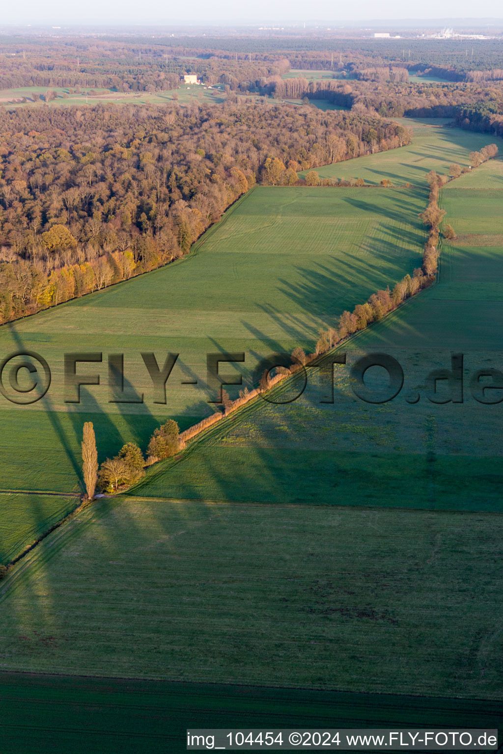 Drone recording of Freckenfeld in the state Rhineland-Palatinate, Germany