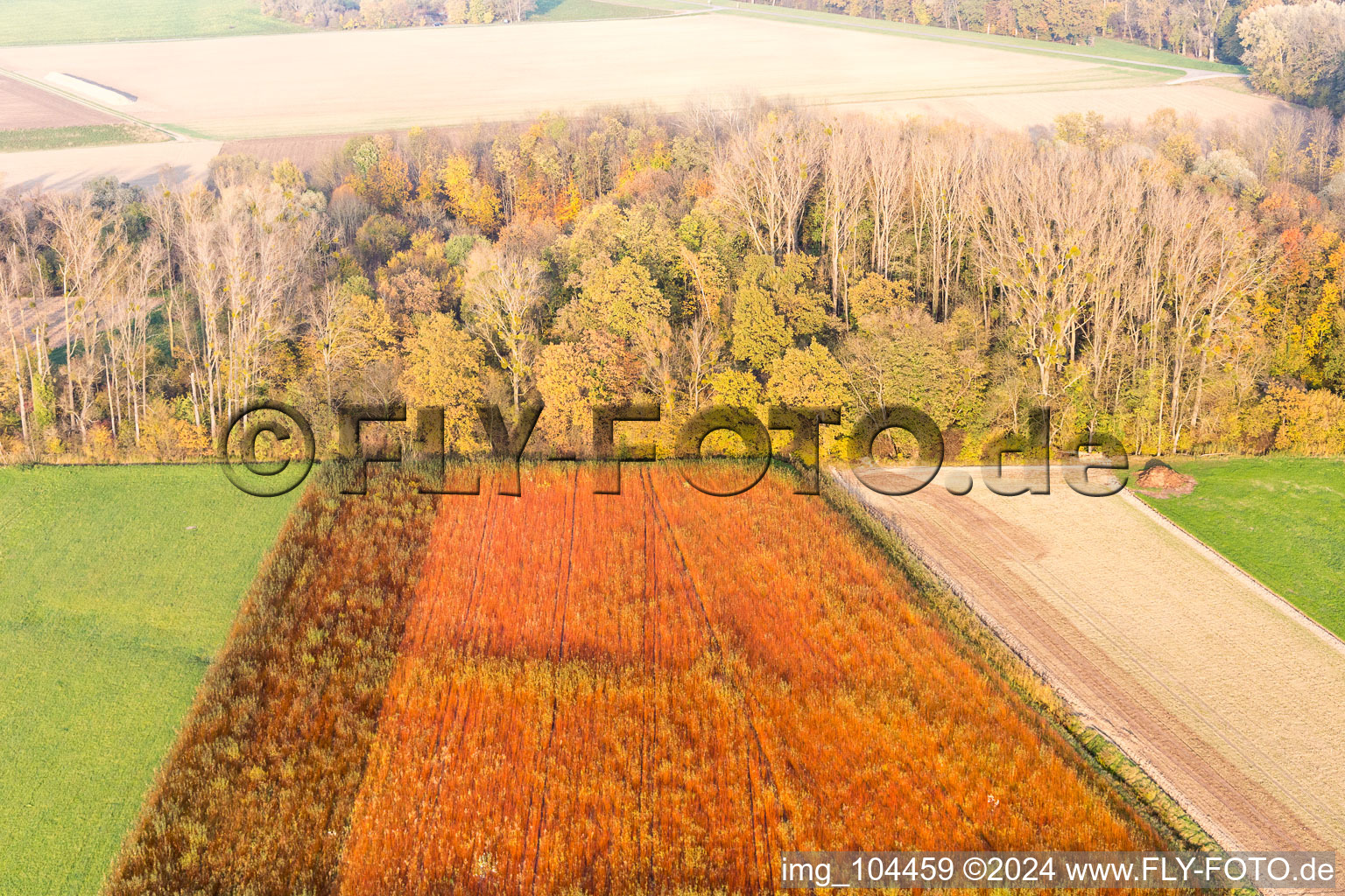 Neupotz in the state Rhineland-Palatinate, Germany seen from above