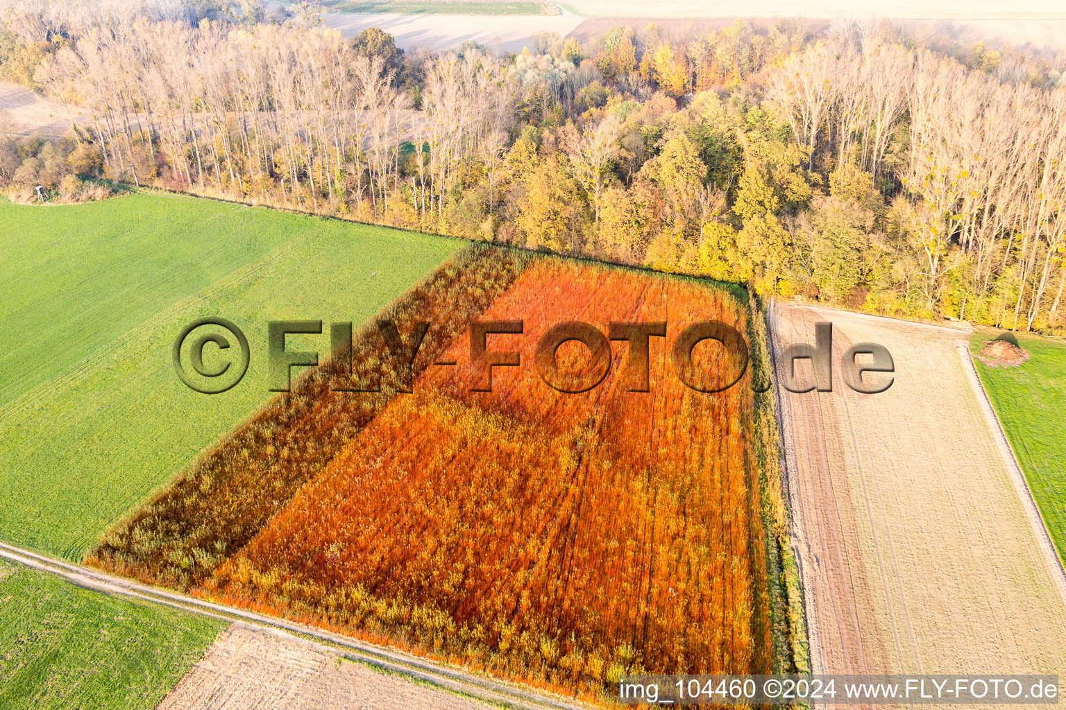 Leimersheim in the state Rhineland-Palatinate, Germany from a drone