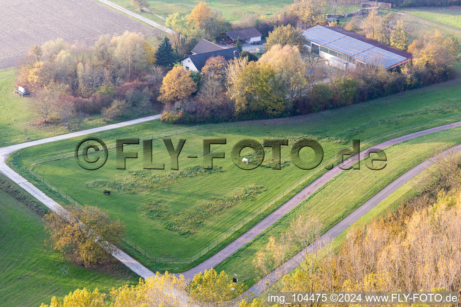 Leimersheim in the state Rhineland-Palatinate, Germany seen from above