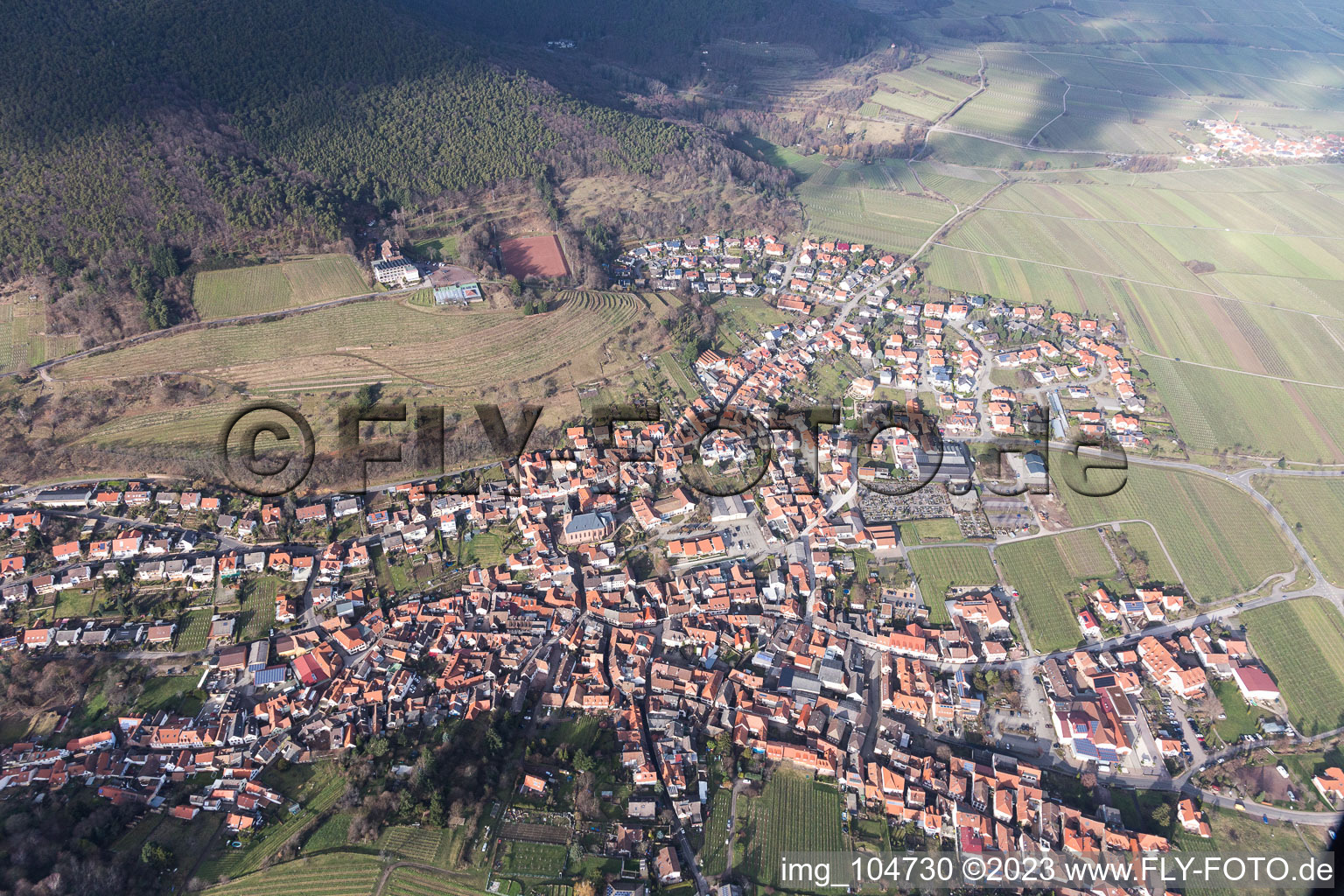 Sankt Martin in the state Rhineland-Palatinate, Germany viewn from the air