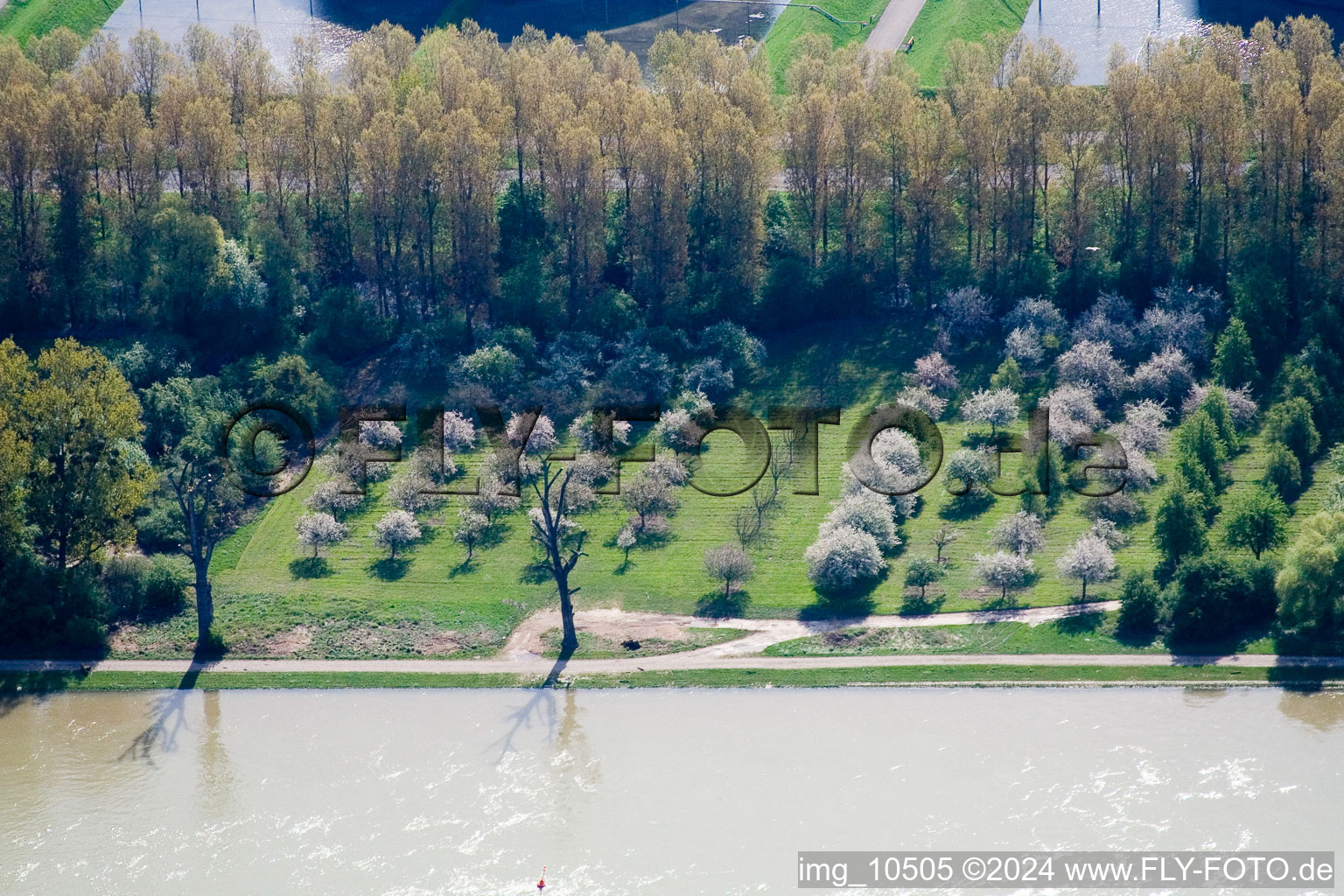 Aerial view of Rhine bank in the district Knielingen in Karlsruhe in the state Baden-Wuerttemberg, Germany