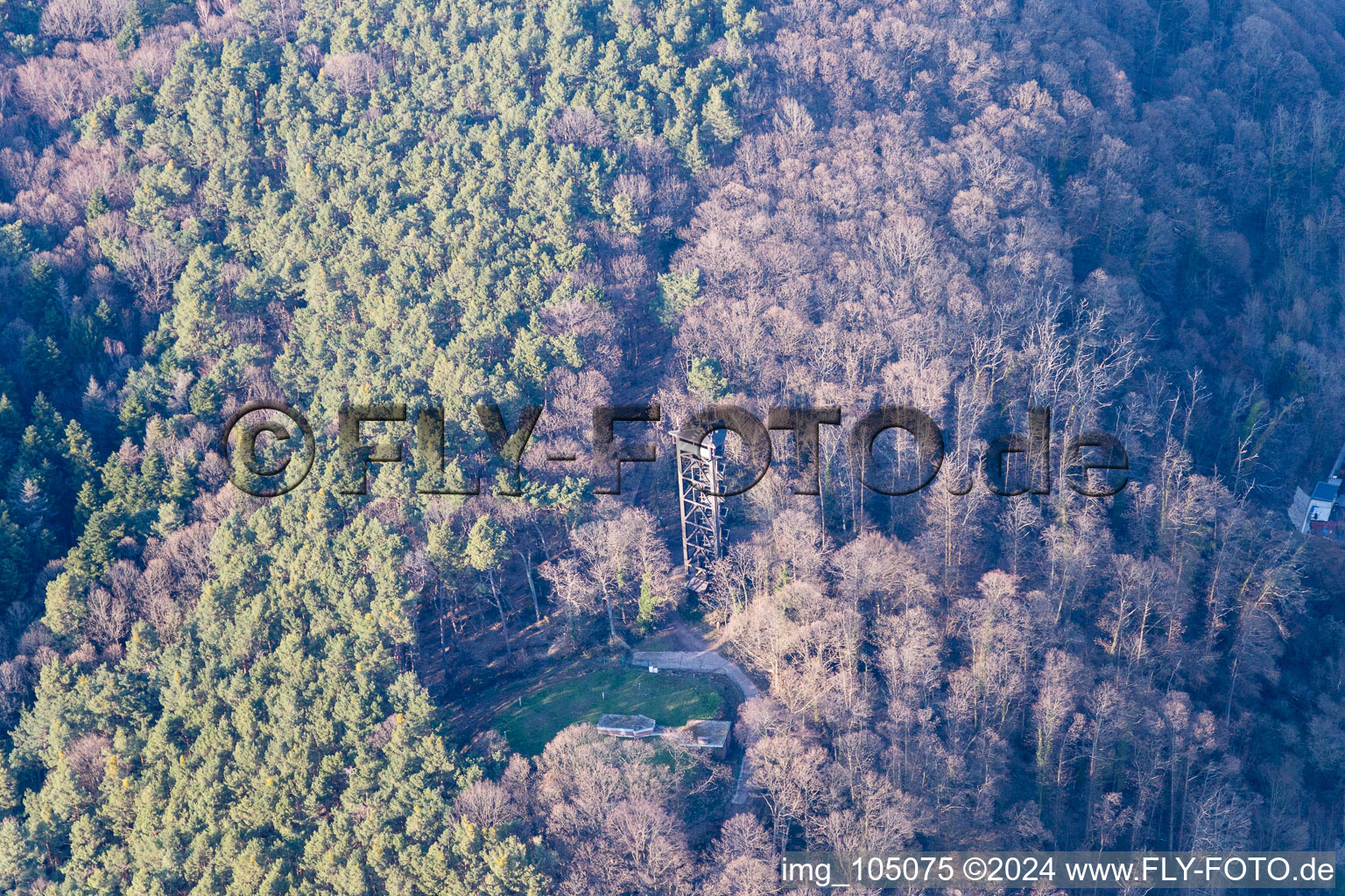 Bad Bergzabern in the state Rhineland-Palatinate, Germany from the plane