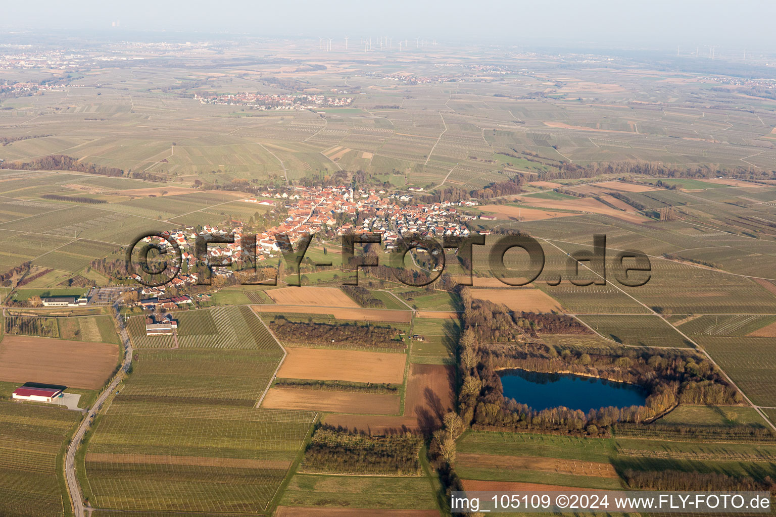 Göcklingen in the state Rhineland-Palatinate, Germany from above