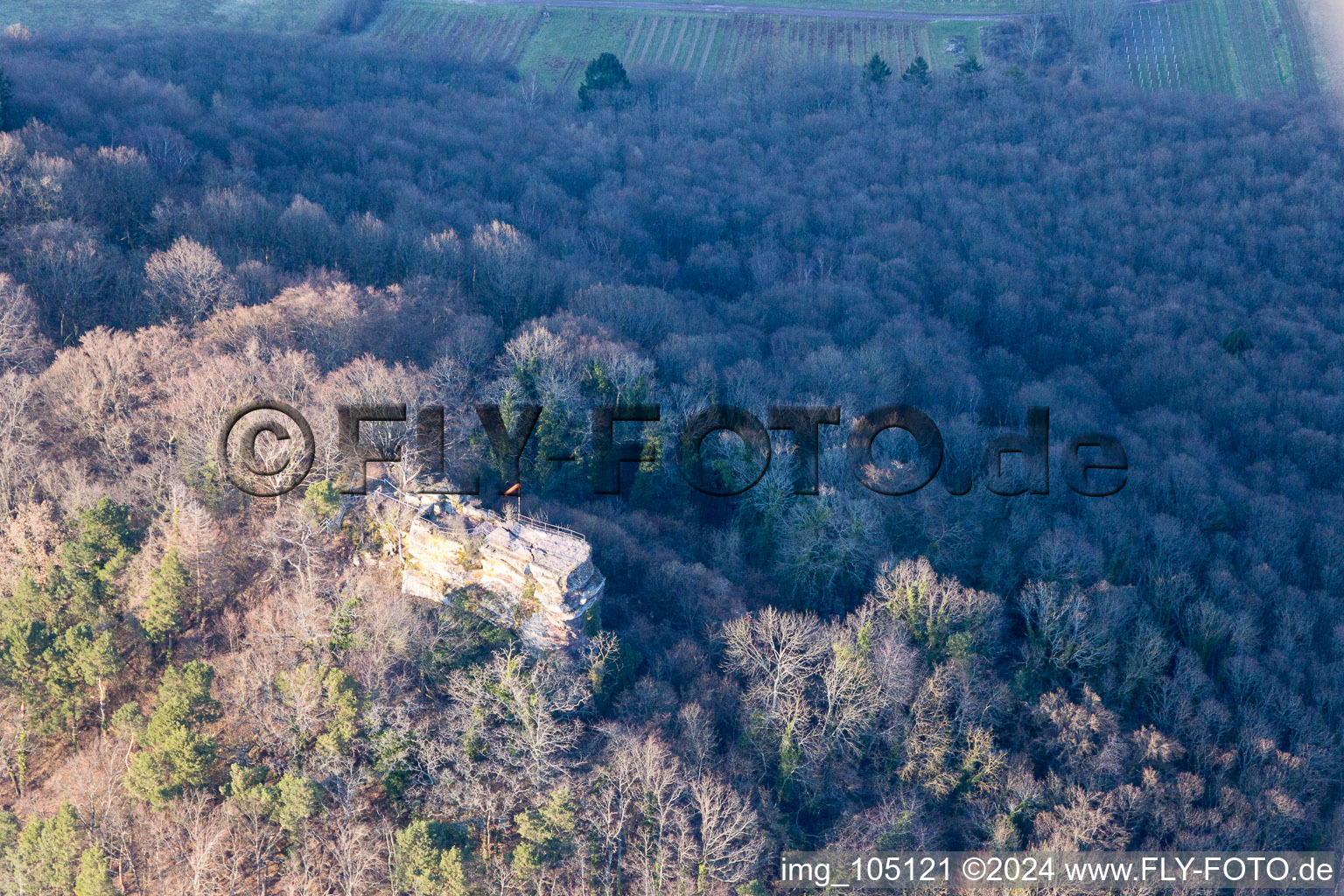 Aerial view of Leinsweiler in the state Rhineland-Palatinate, Germany