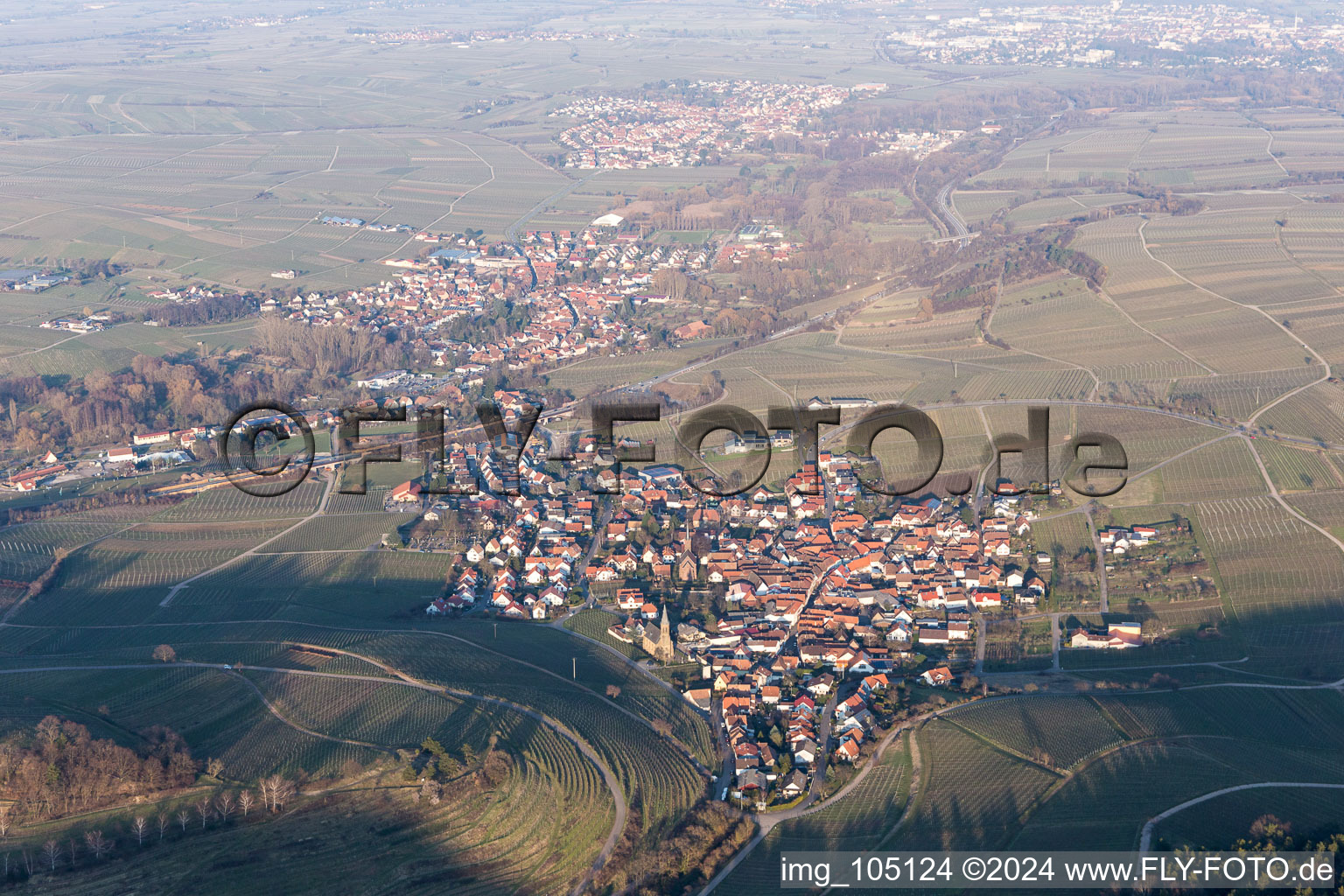 Birkweiler in the state Rhineland-Palatinate, Germany from the plane