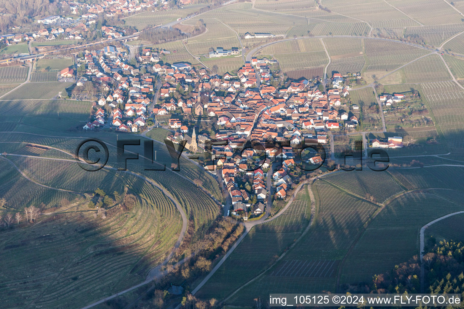 Bird's eye view of Birkweiler in the state Rhineland-Palatinate, Germany