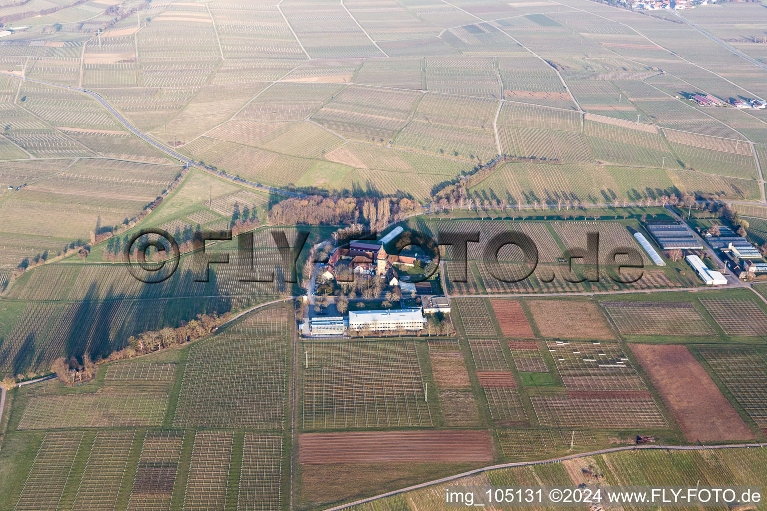 Aerial view of Geilweilerhof in Siebeldingen in the state Rhineland-Palatinate, Germany