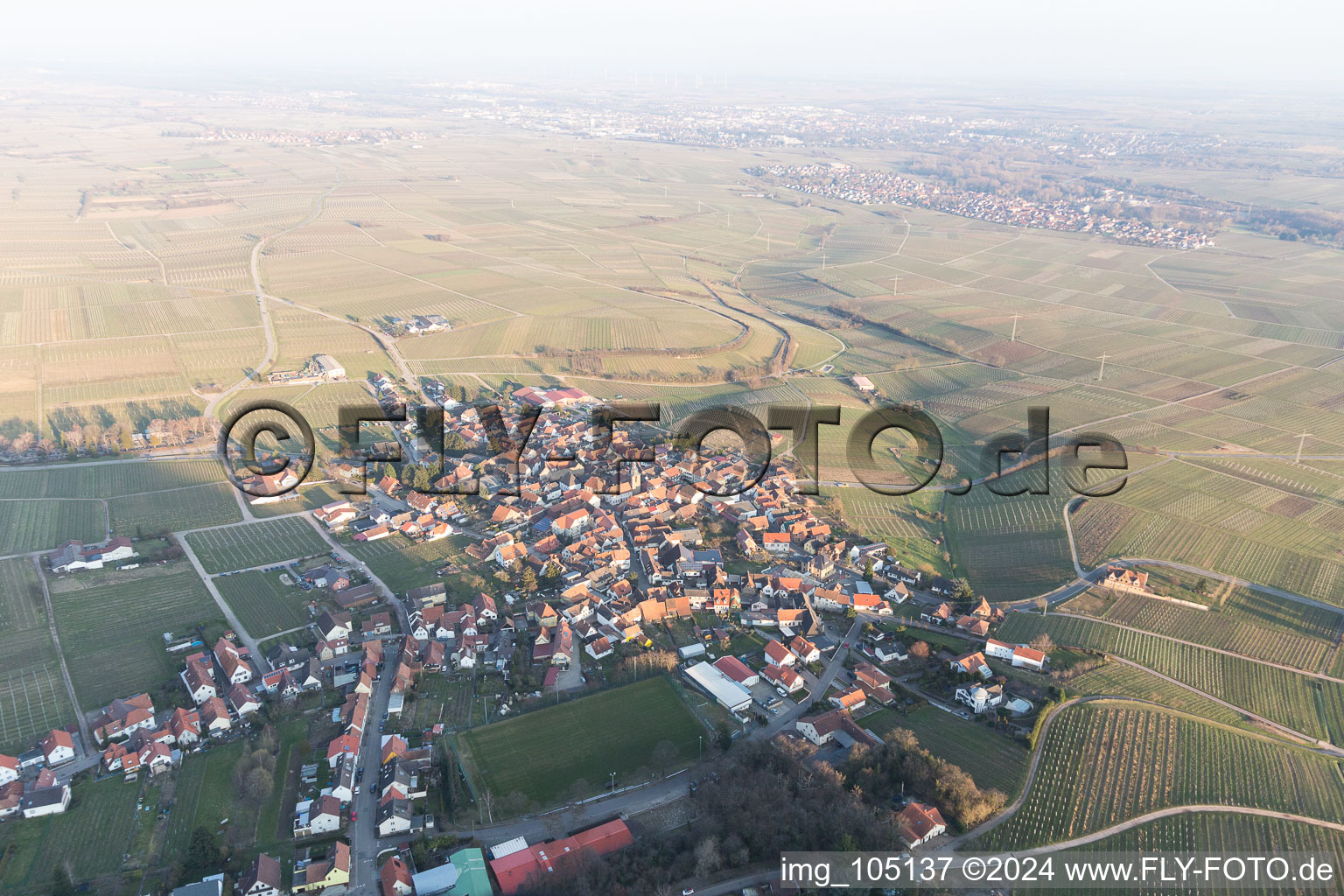 Oblique view of Frankweiler in the state Rhineland-Palatinate, Germany