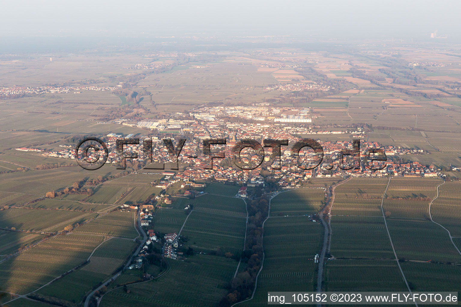 Aerial view of Edenkoben in the state Rhineland-Palatinate, Germany