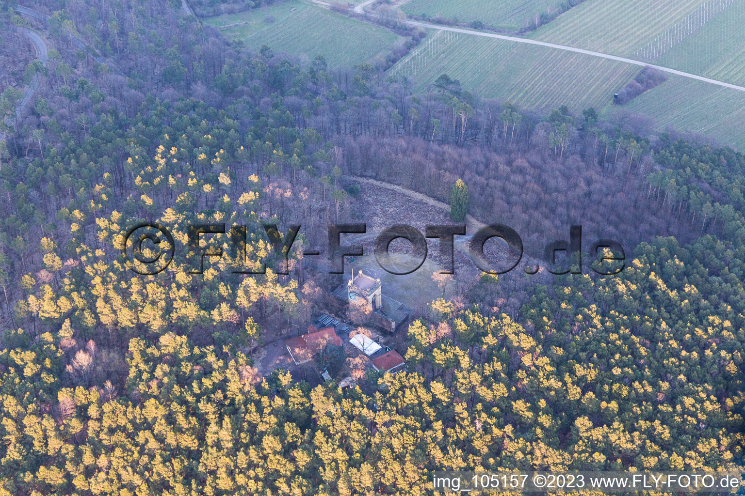 Aerial view of Peace Monument in Edenkoben in the state Rhineland-Palatinate, Germany