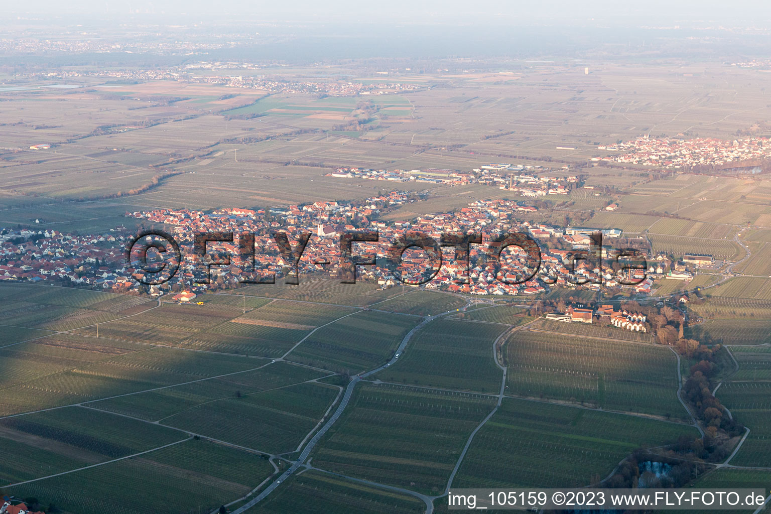 Oblique view of Edenkoben in the state Rhineland-Palatinate, Germany