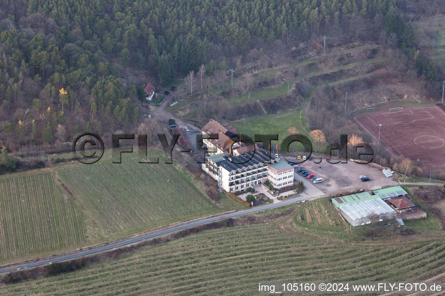 Drone recording of Sankt Martin in the state Rhineland-Palatinate, Germany