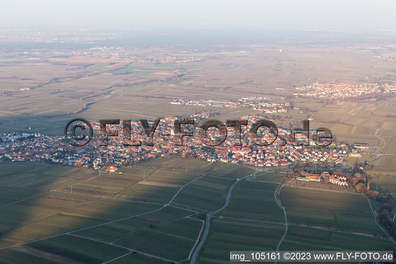 Edenkoben in the state Rhineland-Palatinate, Germany from above